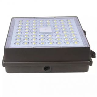 canopy light 80W 100W 120W