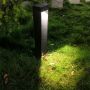 Bollard light